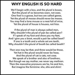 The wonders of english